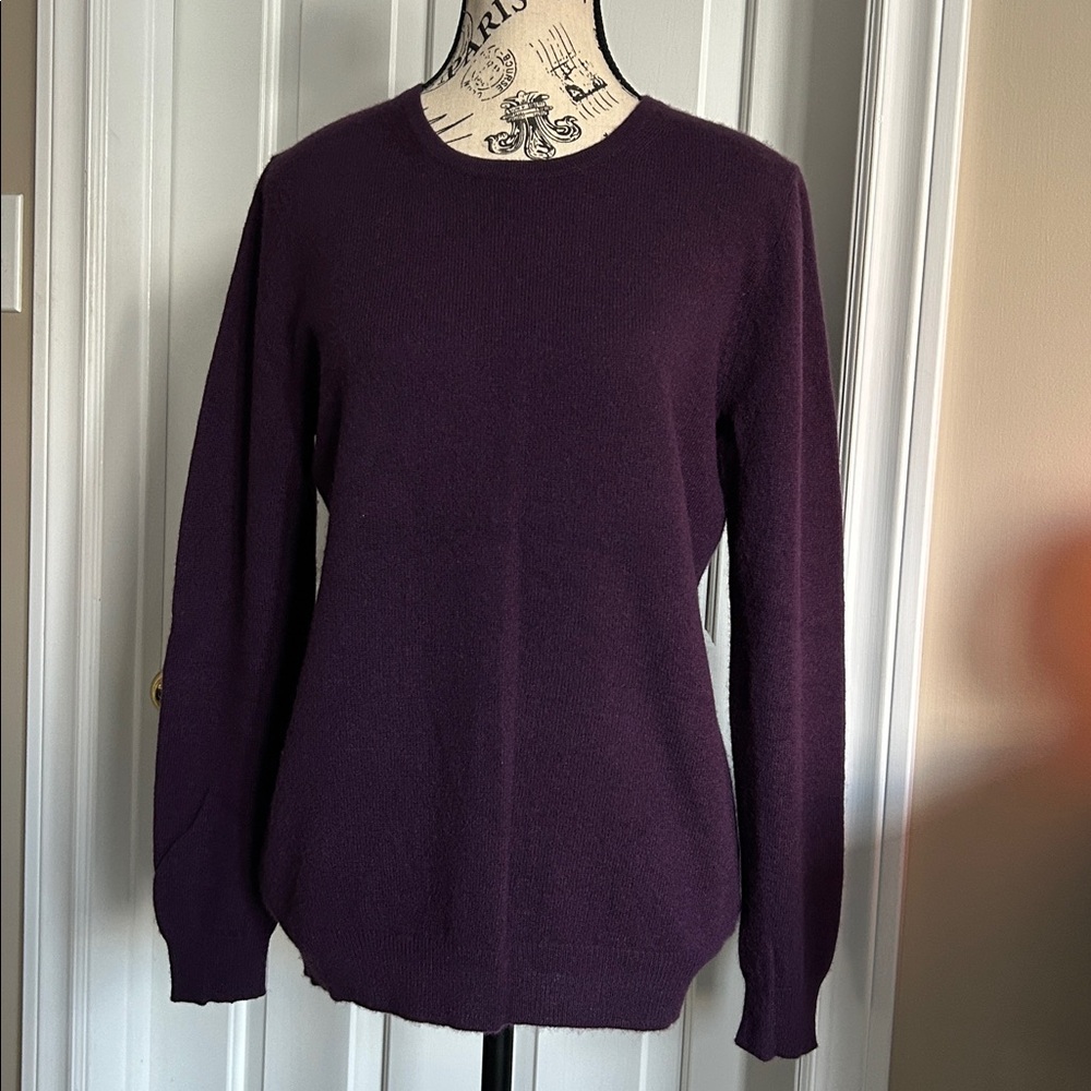Charter Club Luxury 100% Cashmere Sweater US M